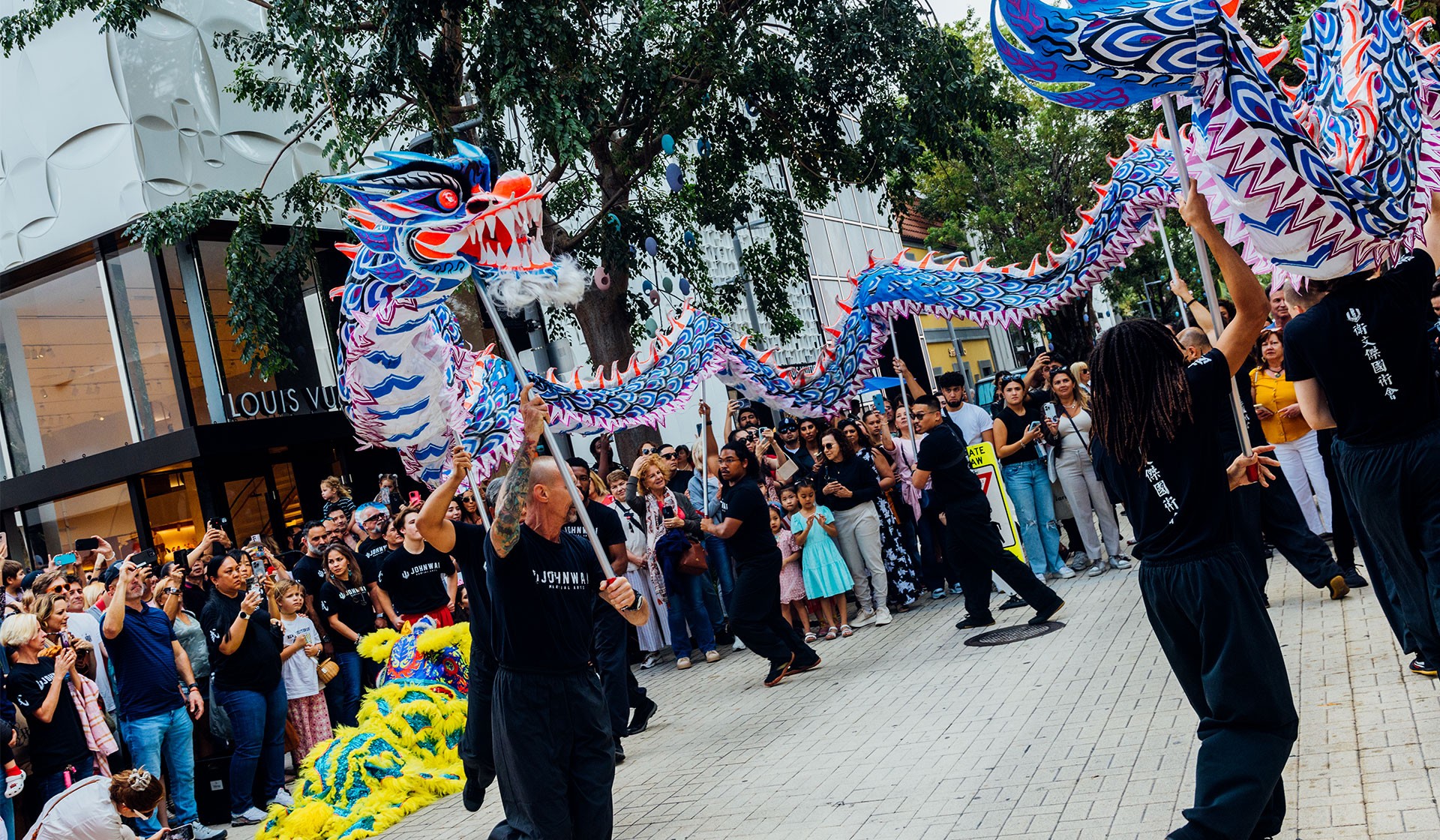 Lunar New Year Celebration