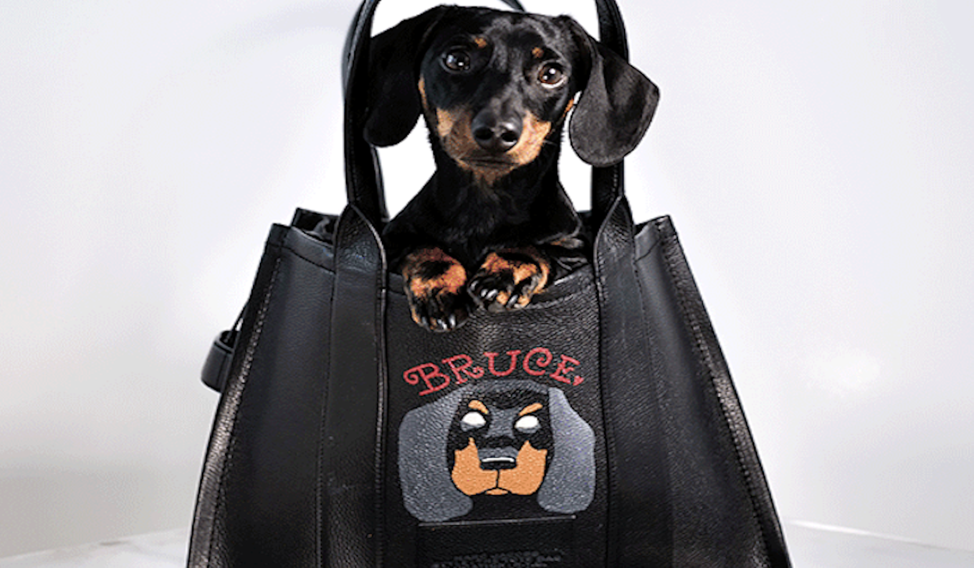 Custom Art & Pet Portraits on Tote Bags at Marc Jacobs
