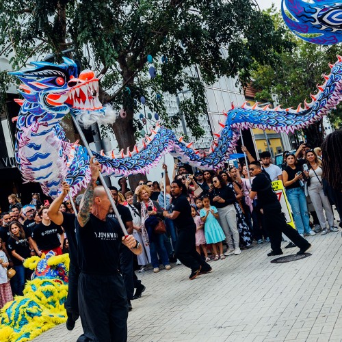 Lunar New Year Celebration