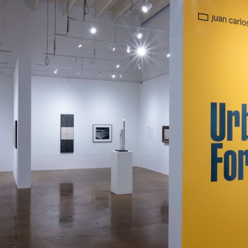 GUIDED VISIT WITH CURATOR